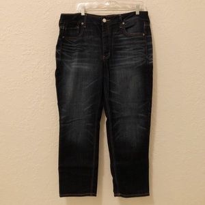 American Eagle TomGirl Jeans (Short)